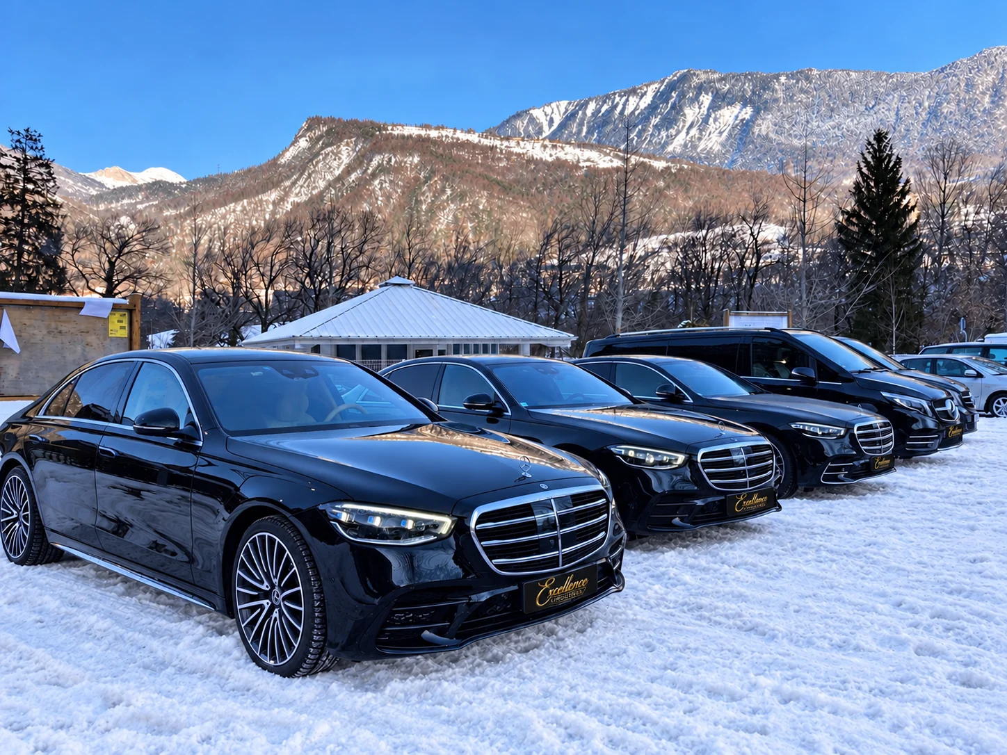 Mercedes S-Class fleet and V-Class van in the snowy Alps