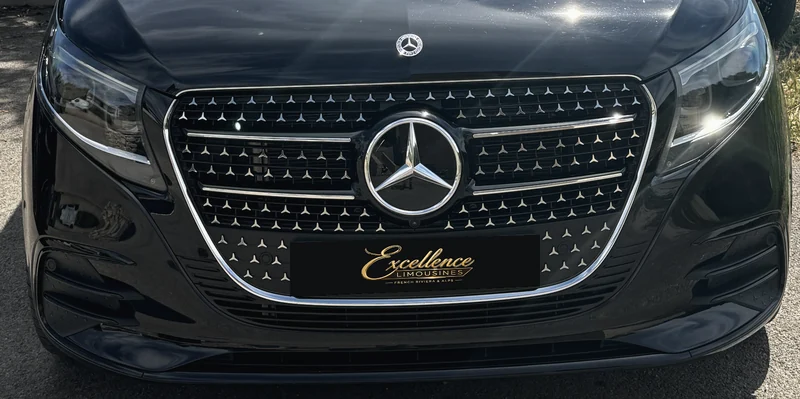 Mercedes V-Class from the current fleet: a front view of the grille.